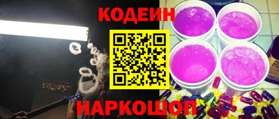 мдпв Камышлов
