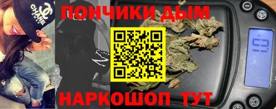 мдпв Камышлов