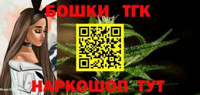 мдпв Камышлов