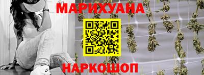 мдпв Камышлов