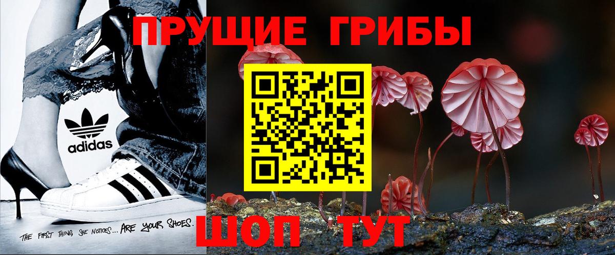 Псилоцибиновые грибы Cubensis Балашов