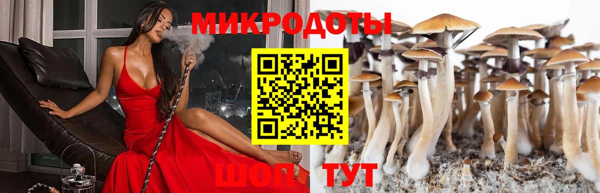 Псилоцибиновые грибы мухоморы  Вход с VPN  Балашов 
